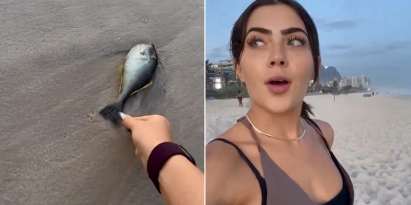 Jade Picon Arremessa Peixe No Mar Para Salv Lo Veja V Deo