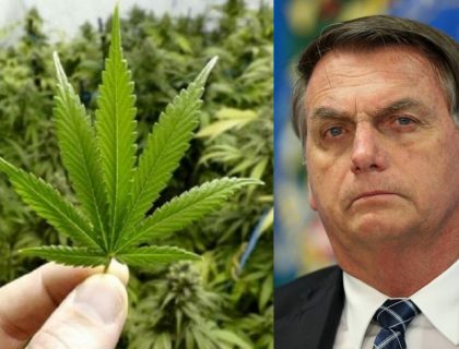 Imagem do post: Bolsonaro vota contra, mas ONU aprova retirada da maconha da lista de drogas perigosas