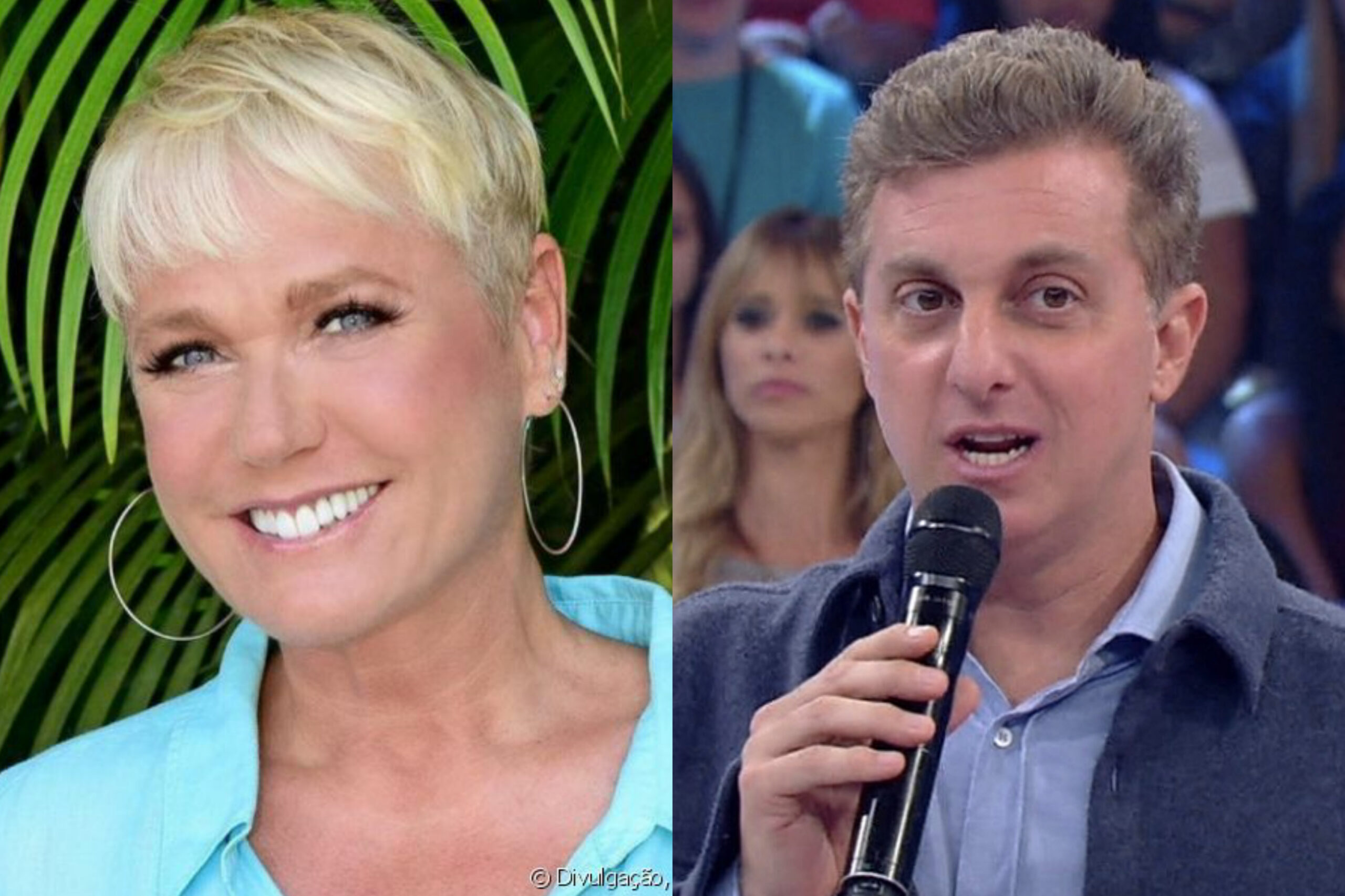 Imagem do post Xuxa Meneghel fará participação no ‘Caldeirão’ e esquenta romance com a Globo