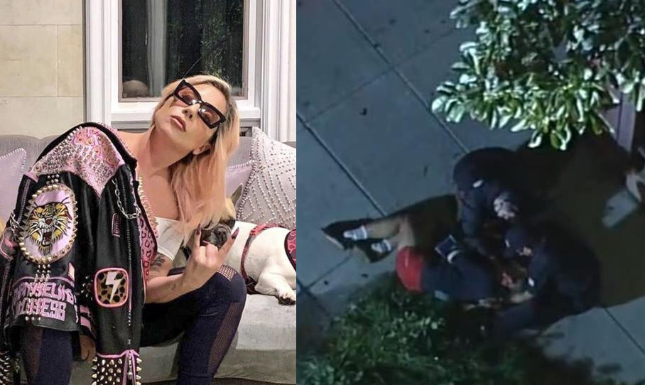 lady gaga video sequestro caes