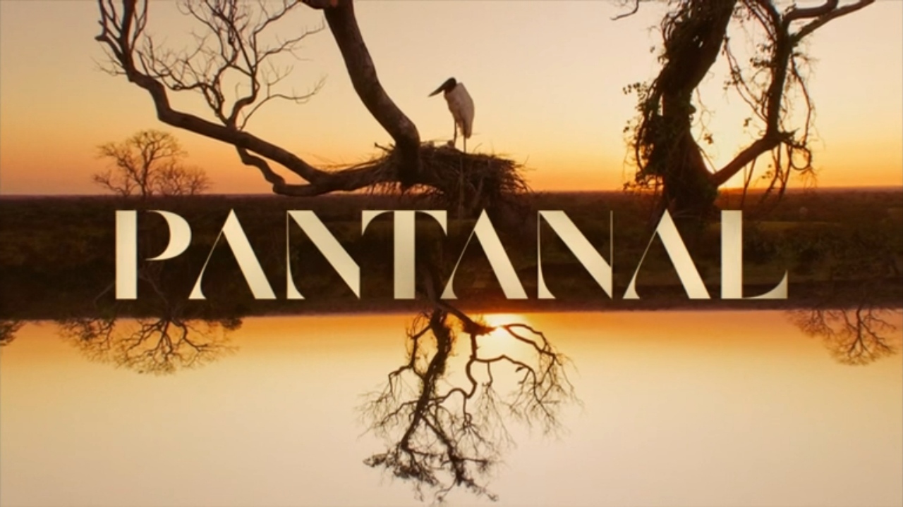 Imagem do post “Pantanal” vira assunto mais comentado do Twitter