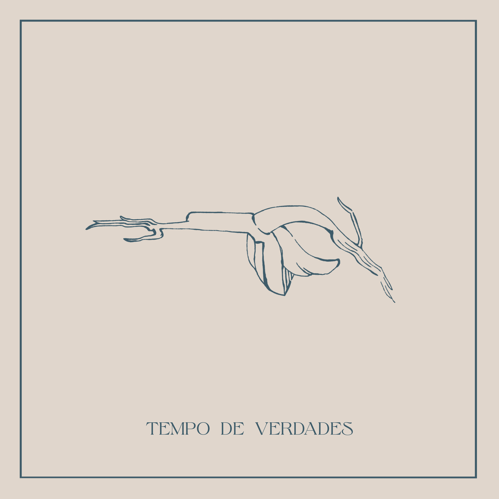 Review - Tempos de Verdades - Pétala Quinto & Os Alomorfes