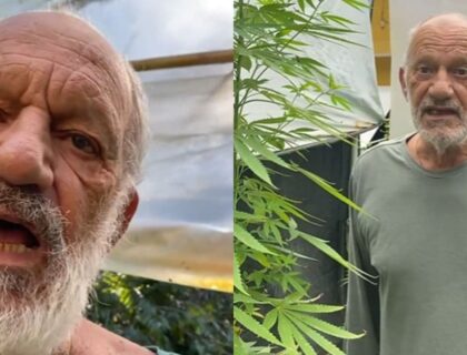 Imagem do post: Ator da RecordTV exibe sua plantação de maconha e desabafa: “Uma loucura”