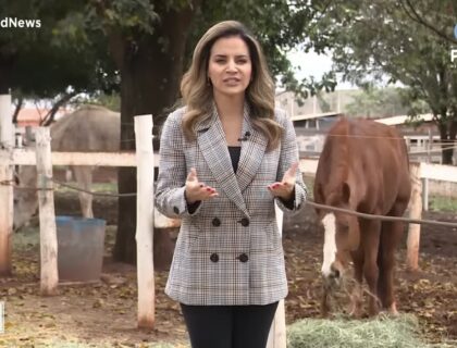 Imagem do post: Record News lidera audiência com jornal sobre agronegócio