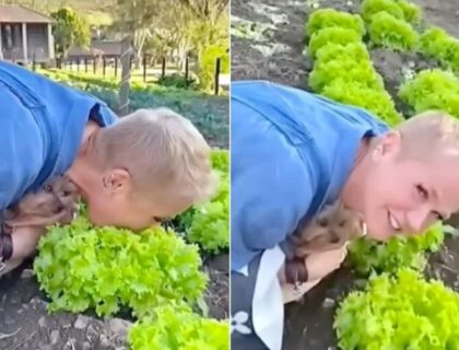 Imagem do post: Vegano raiz? Xuxa come alface direto do pé e diverte internautas; veja vídeo