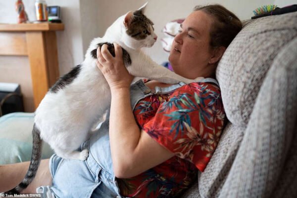 gato salva mulher ataque cardiaco