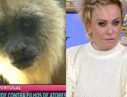 Imagem do post: No “Mais Você”, Globo exibe macacos ao repercutir caso de racismo de filhos de Giovana Ewbank; veja vídeo