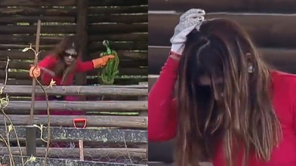 a fazenda 14 ingrid sofre acidente