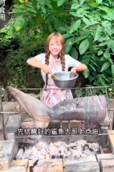 Blogueira é multada em R$ 94 mil após cozinhar e comer tubarão branco