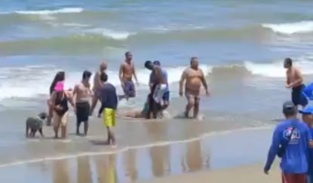 Vídeo mostra momento em que tubarão ataca banhista em praia de Pernambuco