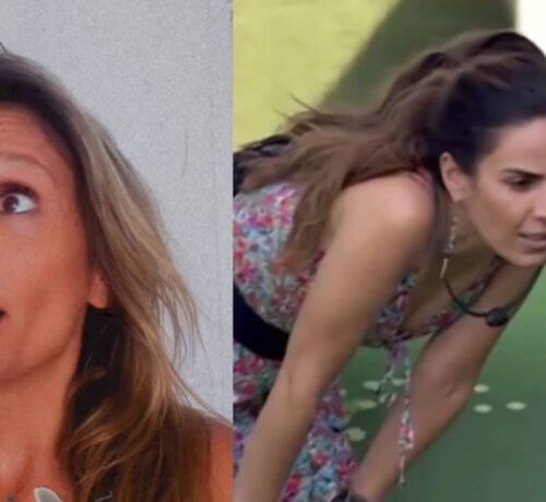 Imagem do post: Após Wanessa Camargo matar mosquito, Luisa Mell diz que é possível abrir exceção