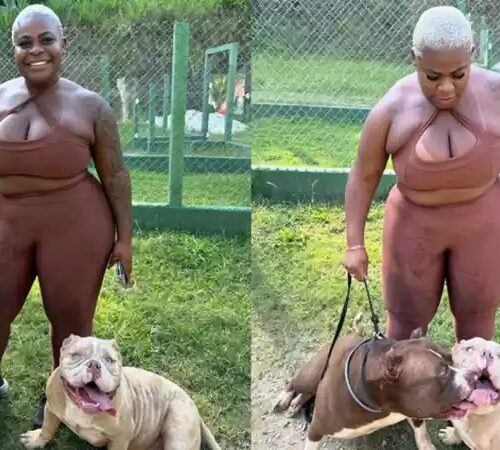 Imagem do post: Jojo Todynho debocha de comentários sobre focinheiras em pitbulls; entenda