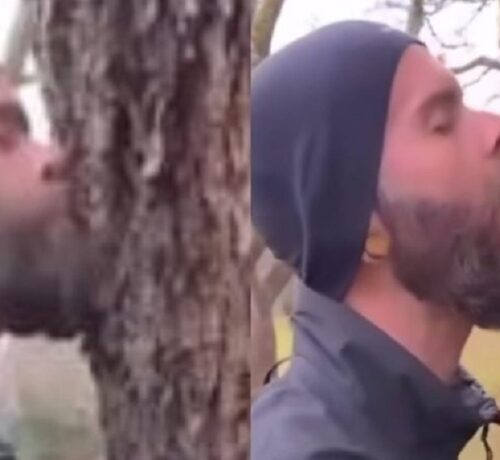 Imagem do post: VÍDEO: Homem que se assumiu ecossexual é filmado em momento íntimo com árvore; veja vídeo