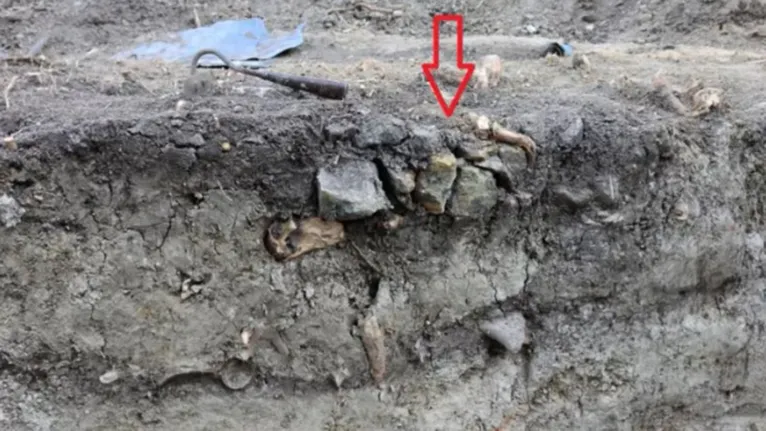 Sepultura de “vampira” é achado em palácio da Polônia