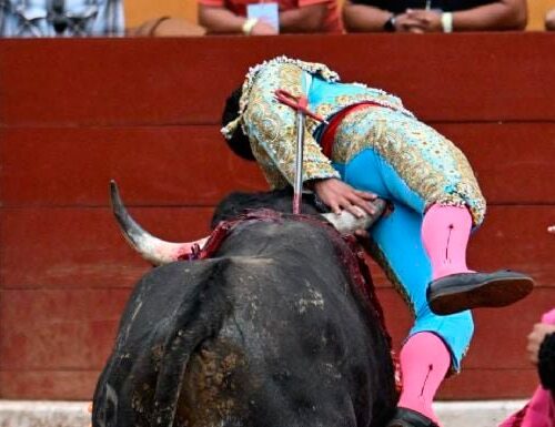 Imagem do post: VÍDEO: Toureiro famoso se dá mal, leva “chifrada” no ân*s e precisa fazer cirurgia às pressas