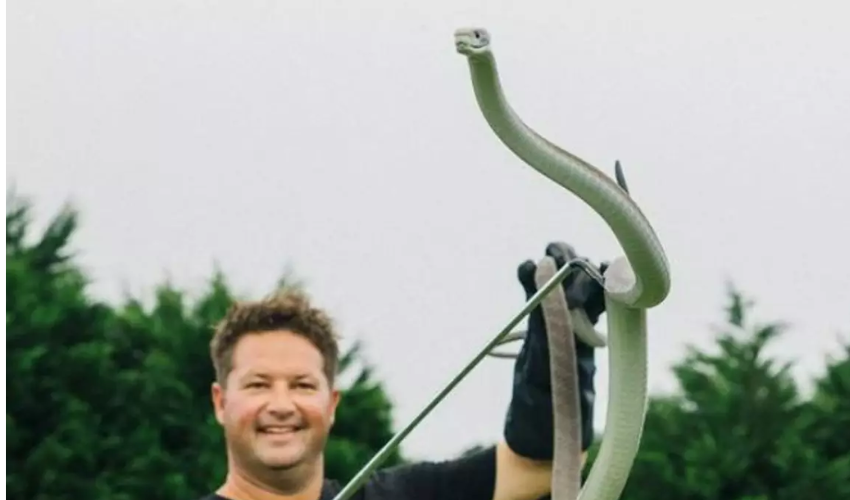 YouTuber especialista em cobras morre após ser picado por serpente