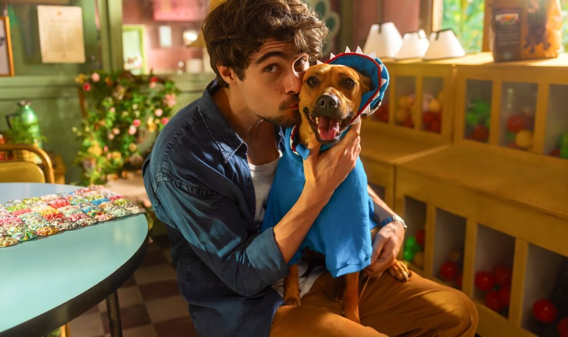 É ele! Vira-lata caramelo estreia como astro na Netflix; veja as primeiras imagens