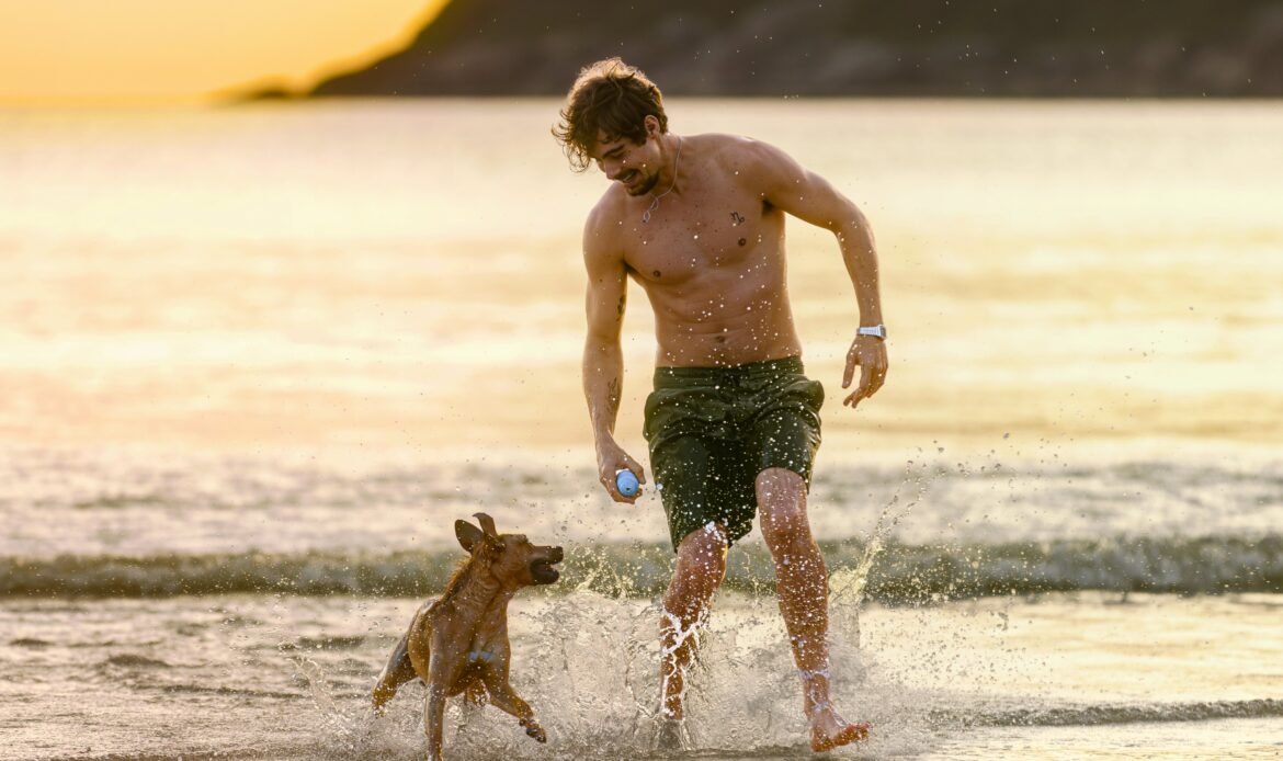 É ele! Vira-lata caramelo estreia como astro na Netflix; veja as primeiras imagens