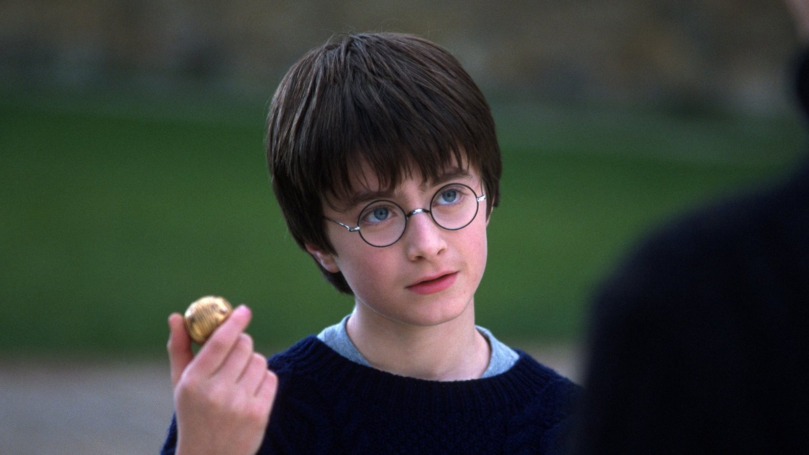 Harry Potter faz 45 anos e fãs transformam data em dia de festa na internet