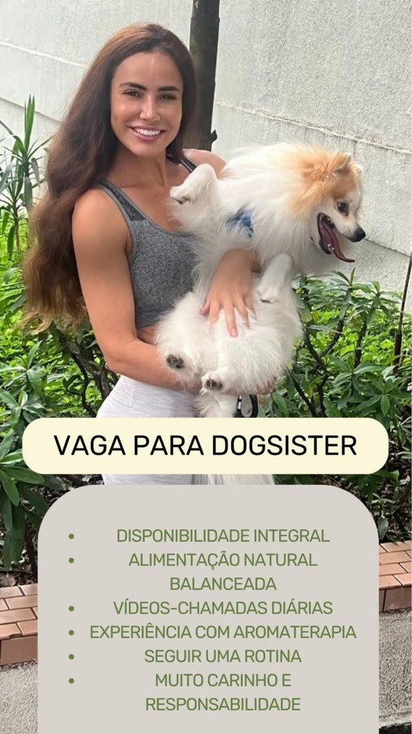 Vaga para cuidadora de pet com rotina de luxo chama a atenção; veja exigências
