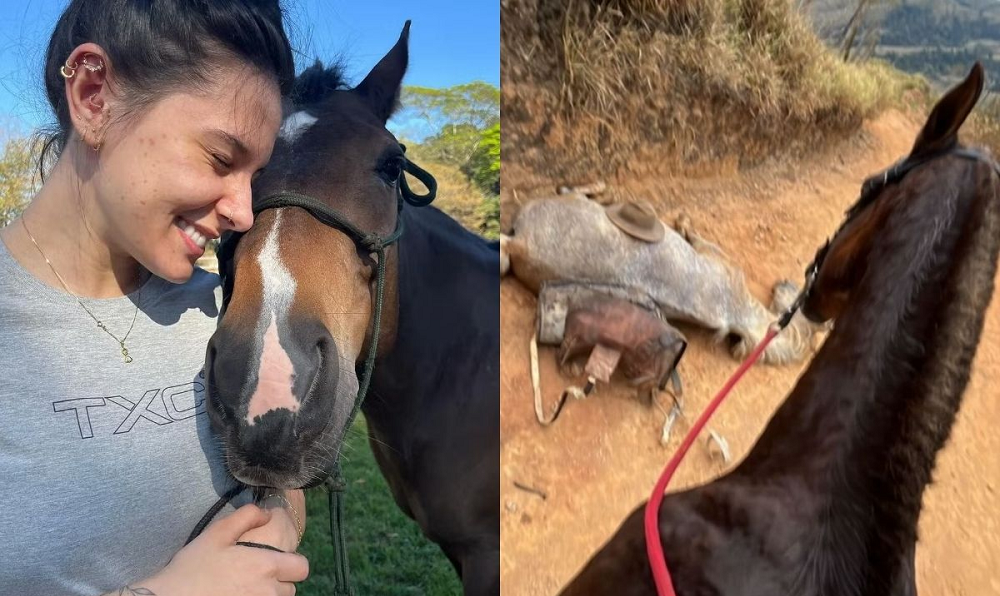 Ana Castela, Luísa Mell e Paolla Oliveira pedem justiça por cavalo mutilado em Bananal