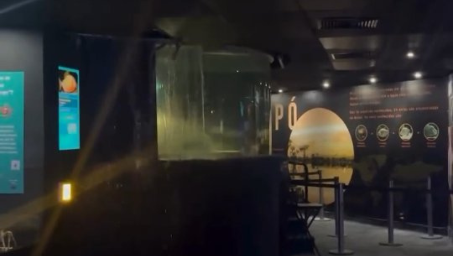 Teto do AquaRio se rompe após vazamento em tanque de piranhas; vídeo