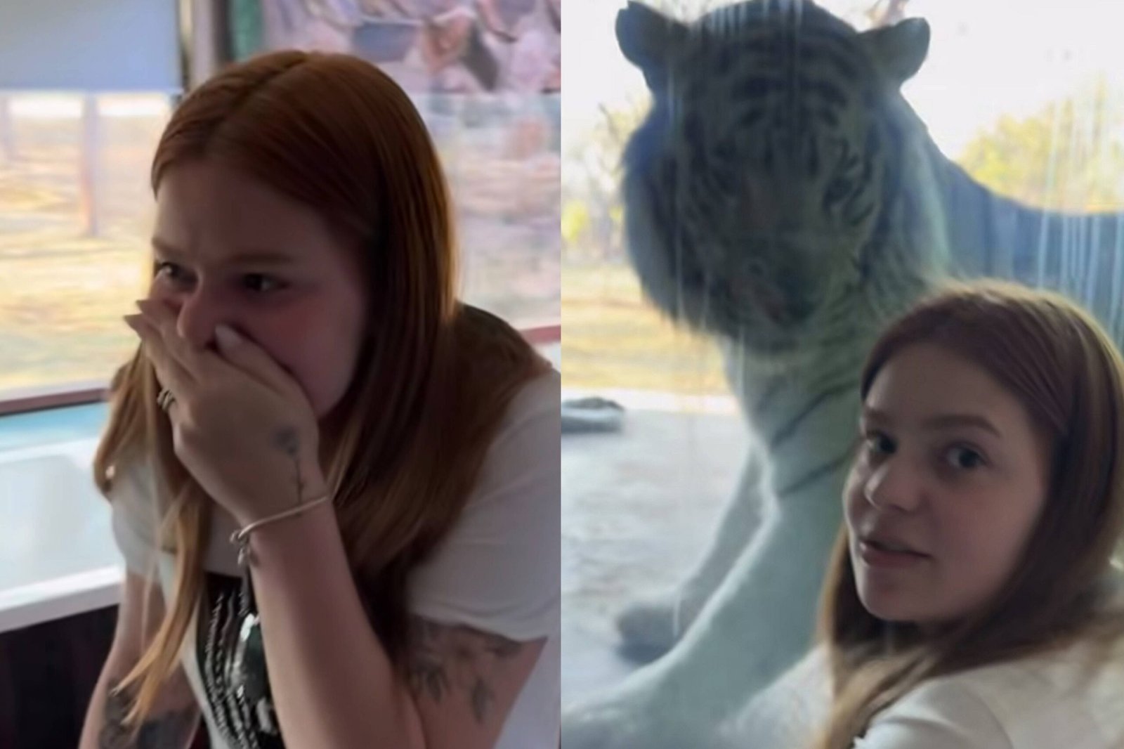 Viih Tube se emociona em safári surpresa na África do Sul ao lado de Eliezer