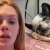 Bárbara Evans se desespera com convulsão de seu cachorro Enrico: "Orações por ele"
