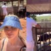 Gusttavo Lima comemora 36 anos dando banho em porcos na fazenda; veja vídeo
