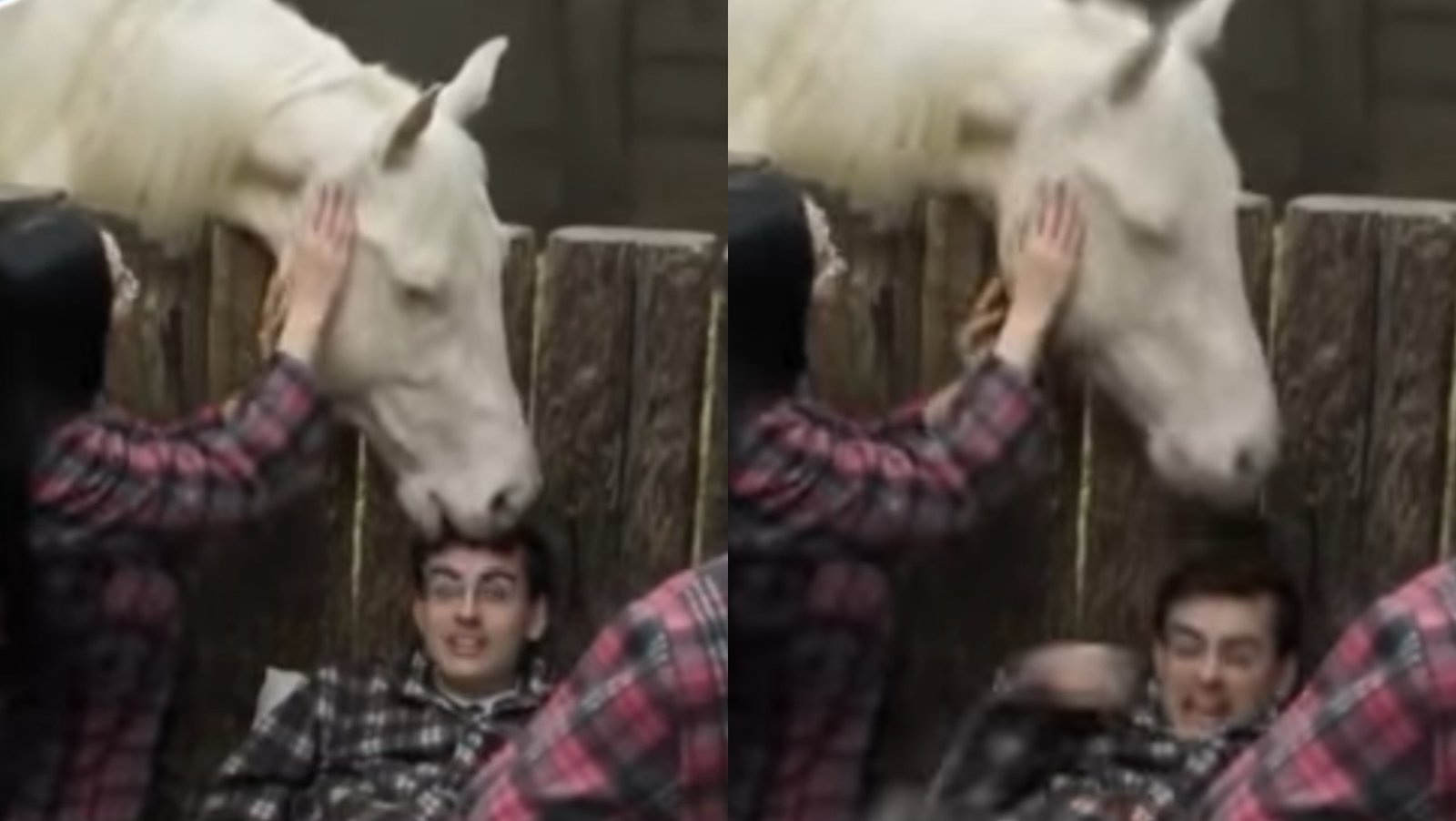 Cavalo morde a cabeça de Dudu Camargo em 'A Fazenda'