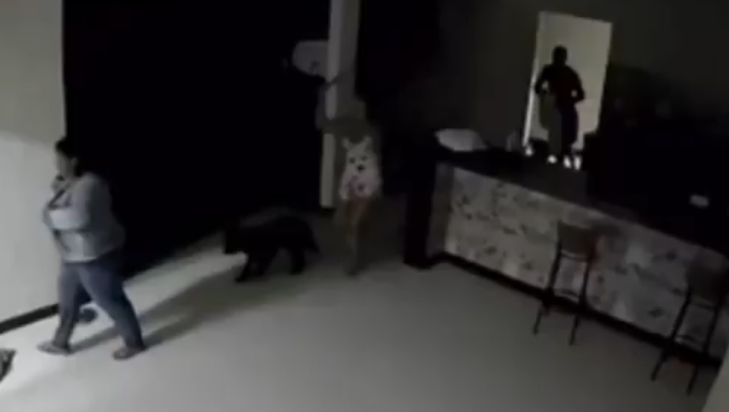 Pancadaria! 'Saradona' pega marido no flagra com gordinha e vídeo viraliza