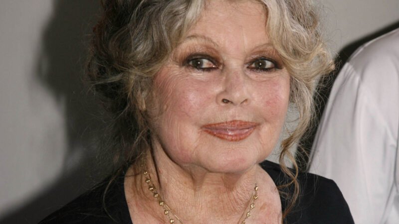 Brigitte Bardot recebe alta e se recupera em casa após cirurgia bem-sucedida 51 Brigitte Bardot é internada aos 91 anos para cirurgia contra doença grave