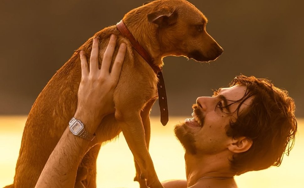 'Caramelo': Netflix lança campanha de adoção inspirada no filme 51 'Caramelo': Netflix lança campanha de adoção inspirada no filme