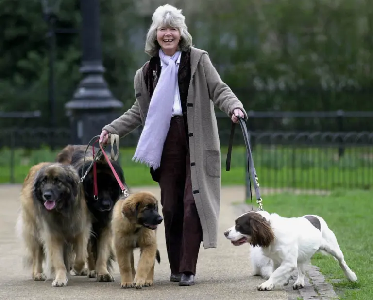 Jilly Cooper, autora de ‘Rivais’, morre aos 88 anos 52 Jilly Cooper, autora de ‘Rivais’, morre aos 88 anos