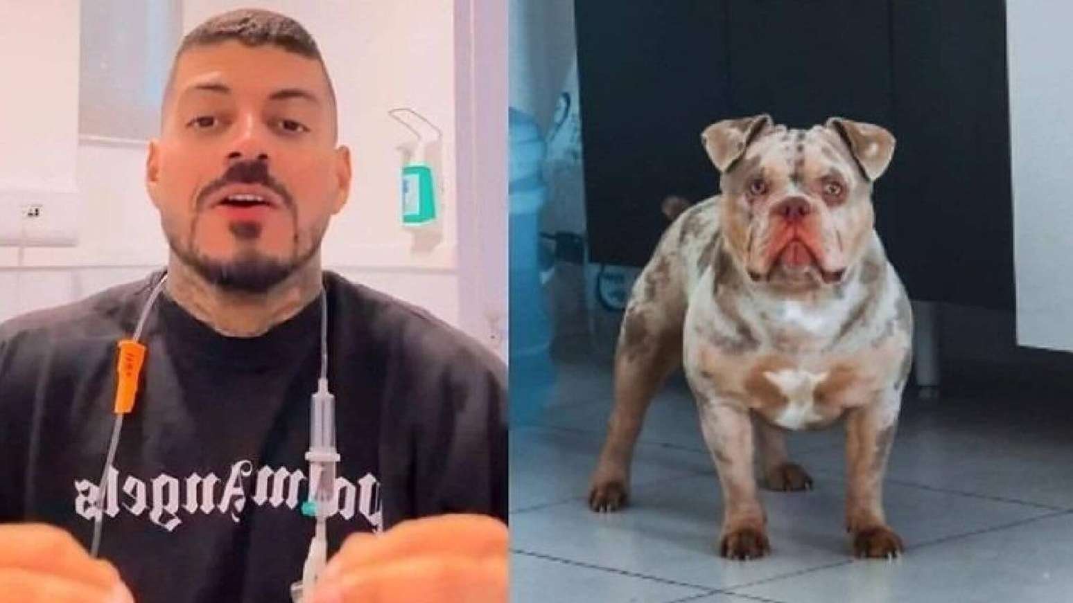 Influenciador perde dedo do pé enquanto dormia e descobre que cachorro o havia comido 51 Influenciador perde dedo do pé enquanto dormia e descobre que cachorro o havia comido