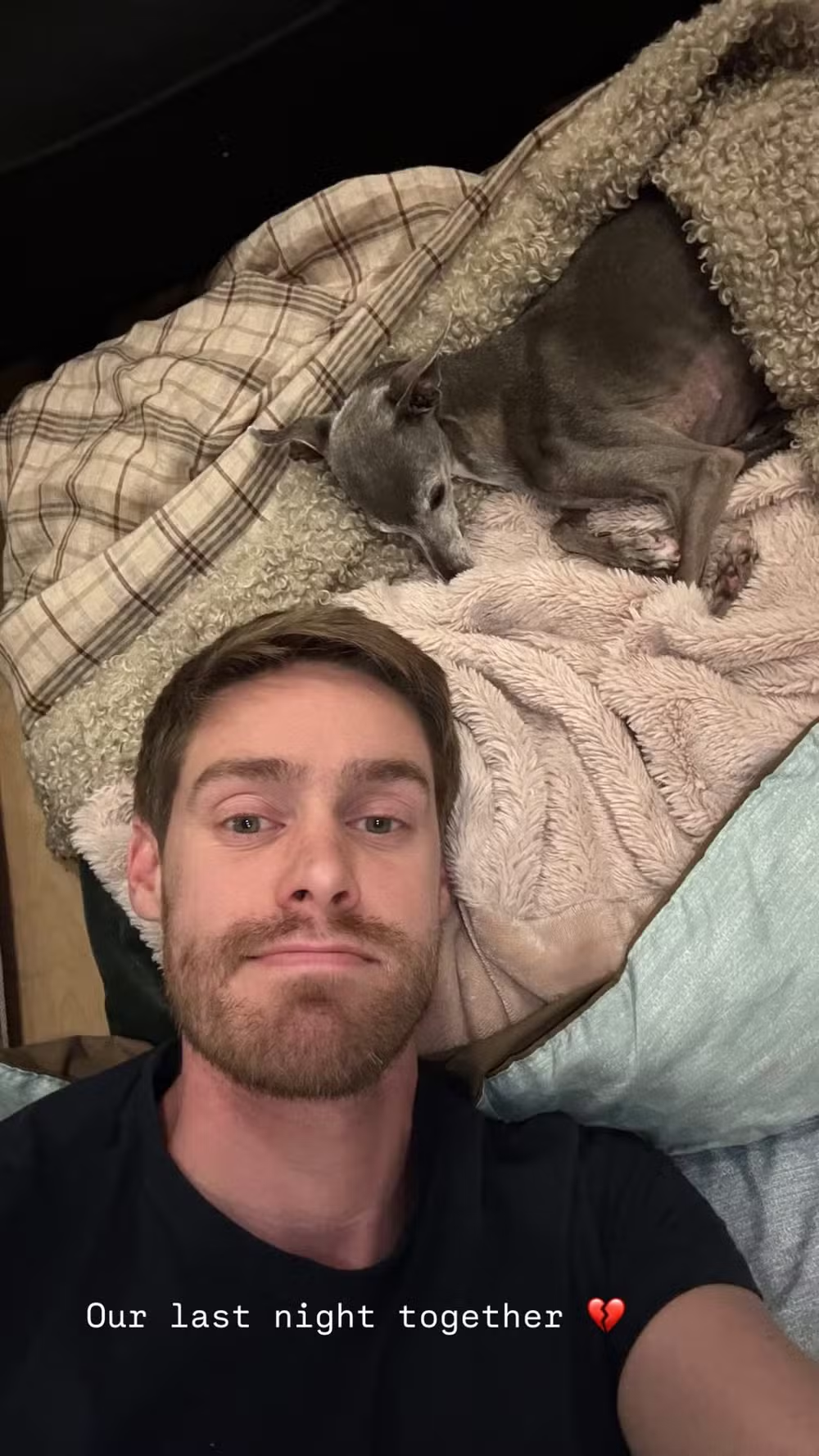 Morre Tika the Iggy, cachorrinha influencer e ícone fashion, aos 14 anos 53 Morre Tika the Iggy, cachorrinha influencer e ícone fashion, aos 14 anos