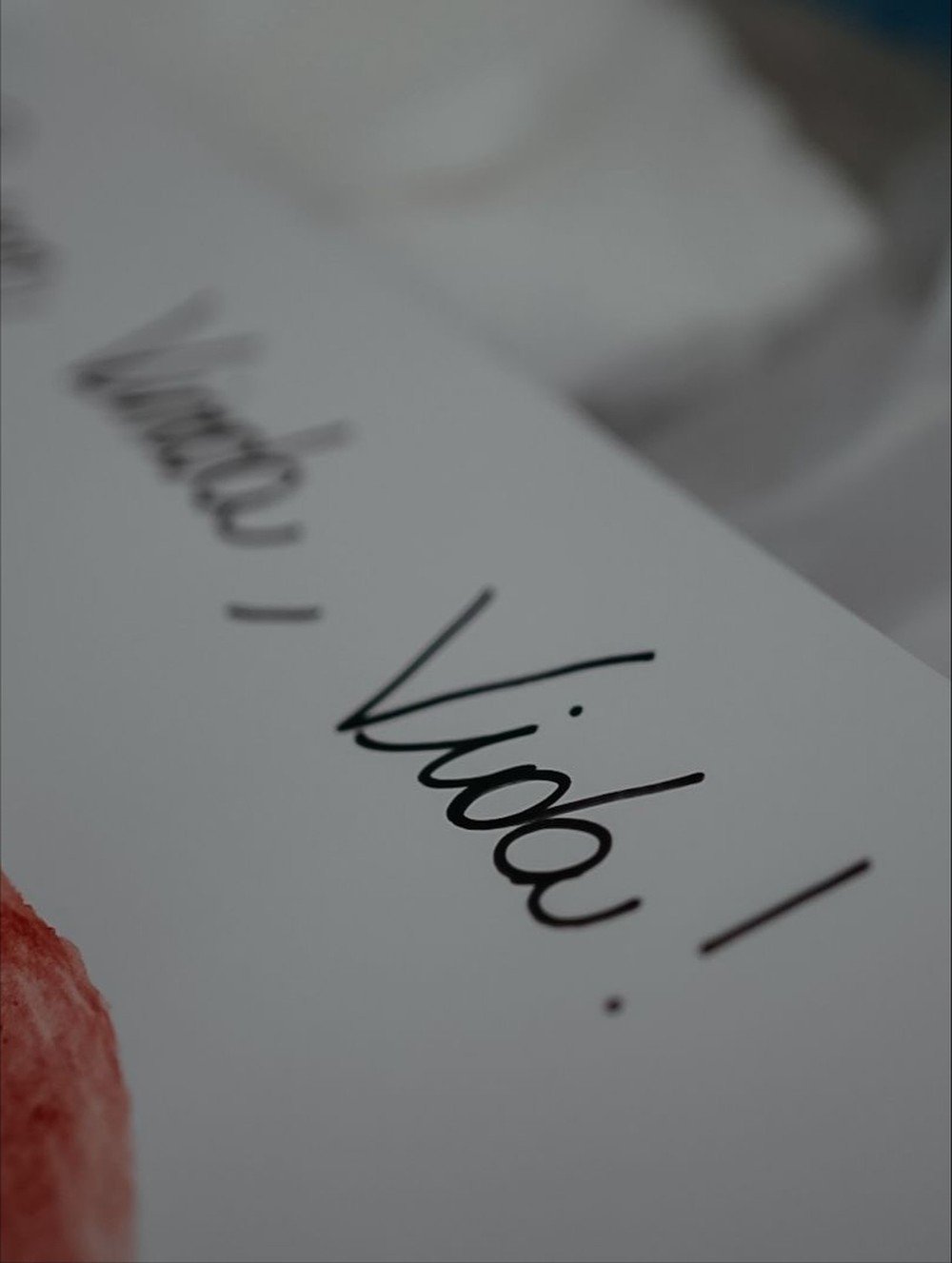 Nasce Vida, primeira filha de Nelsinho Piquet e Patsy Zurita: “Coração preenchido”