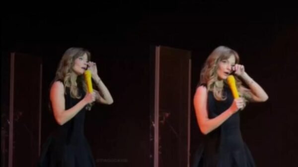 luiisa sonza chora em show