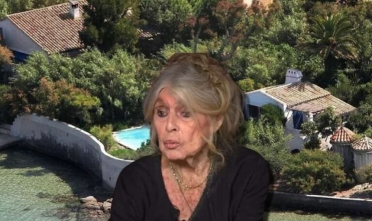 Brigitte Bardot vendeu até bijuterias brasileiras e deixou quase nada ao único herdeiro