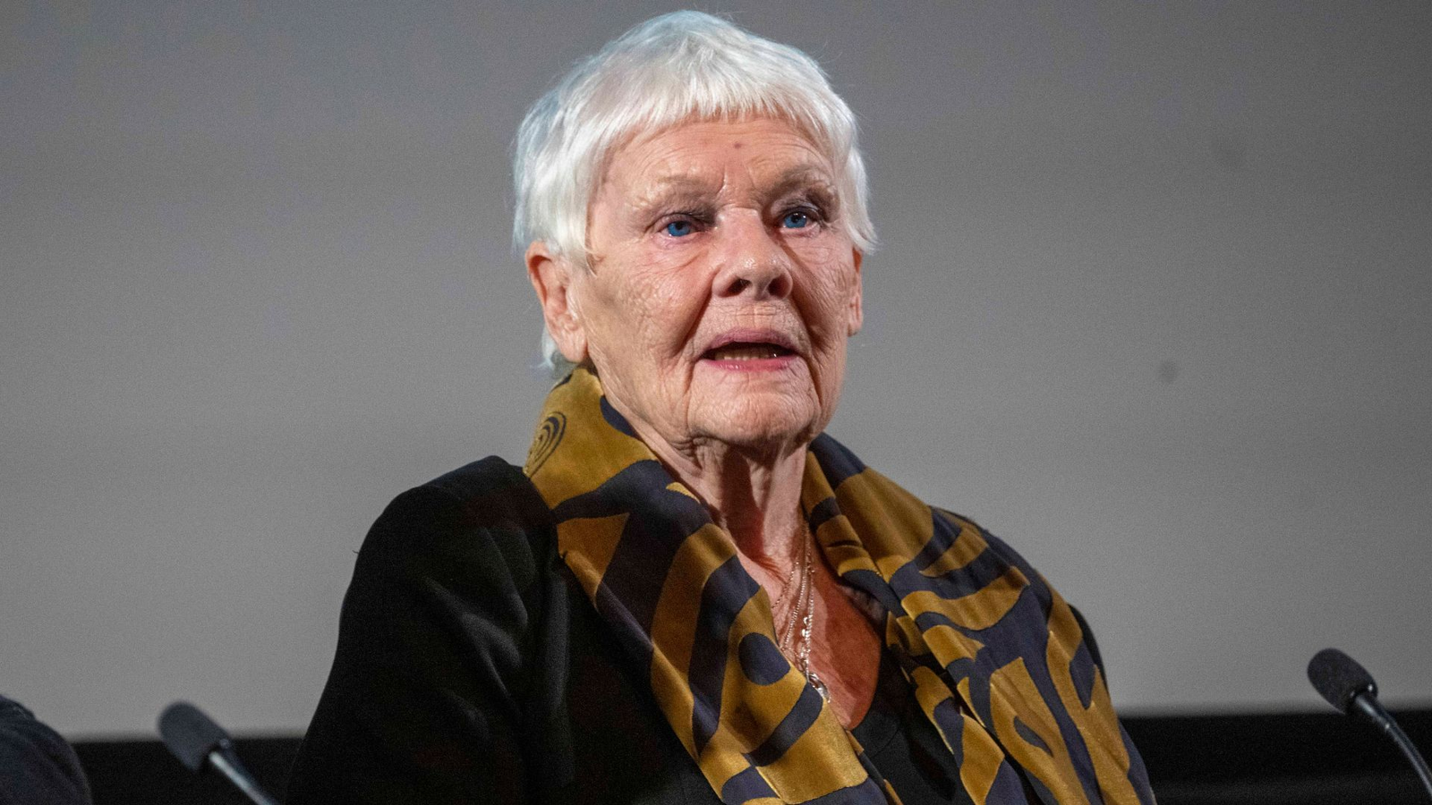 Judi Dench - Foto: Stuart C. Wilson/Getty Images for BFI
