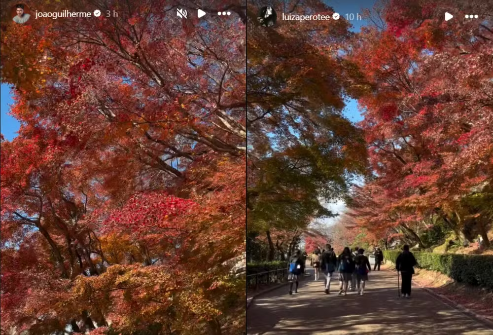 Quem é Luiza Perote, a modelo apontada como novo affair de João Guilherme