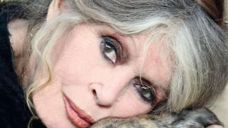 Quem foi Brigitte Bardot: ícone da revolução sexual, ativista dos animais e figura marcada por polêmicas