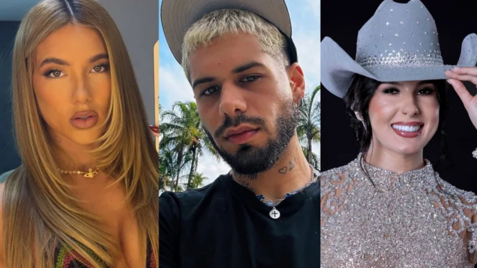 virginia indireta fim ze felipe ana castela