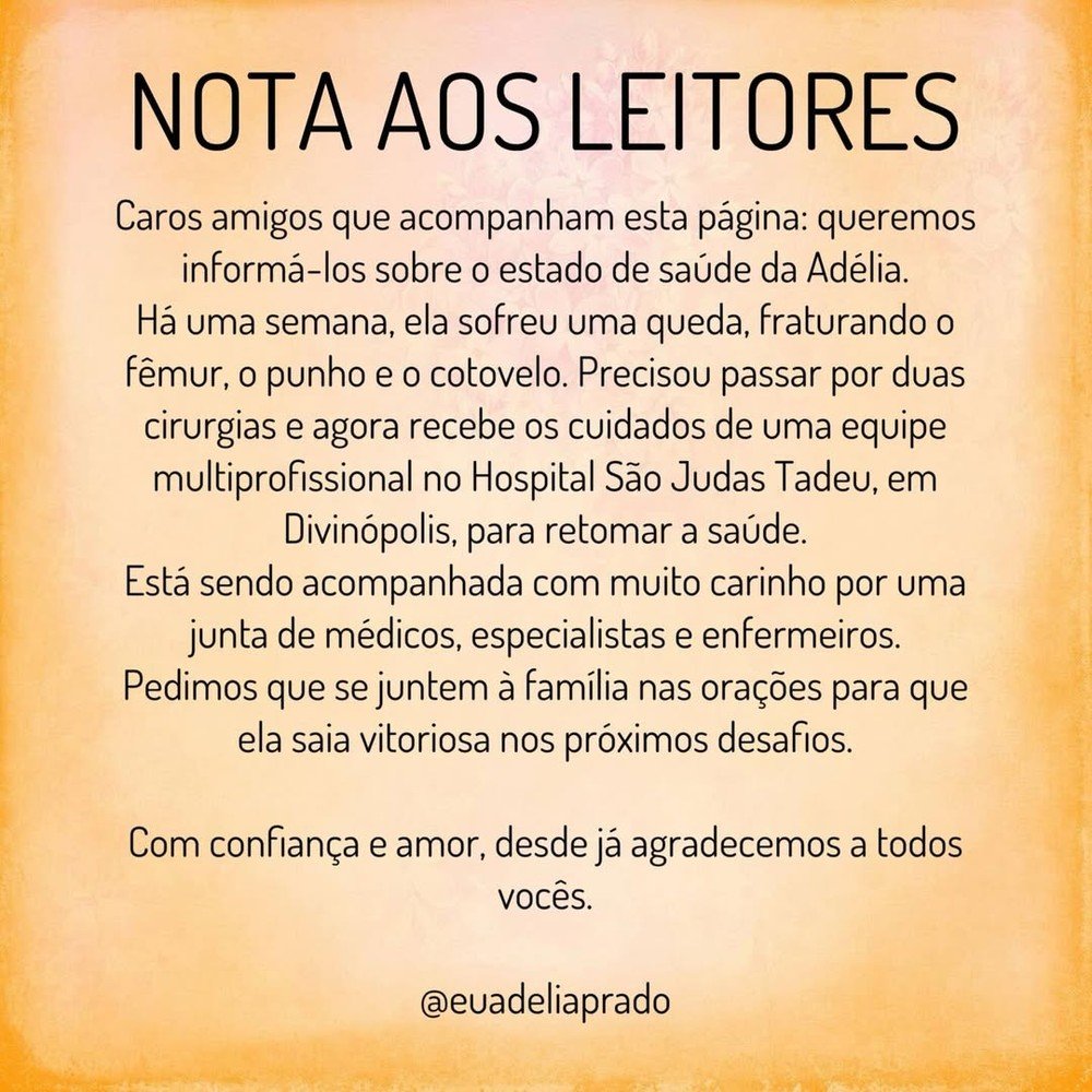 Adélia Prado é hospitalizada após queda em casa e passa por duas cirurgias 52 Adélia Prado é hospitalizada após queda em casa e passa por duas cirurgias