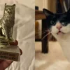Gata que atuou em “O Agente Secreto” vence prêmio Golden Beast em festival de Hollywood