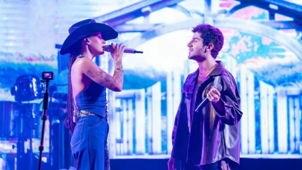 ana castela processo delicado