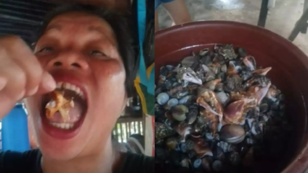 Emma Amit, de 51 anos, criadora de conteúdo gastronômico, ingeriu um crustáceo venenoso durante a produção de um vídeo para as redes sociais — Foto: Reprodução/Facebook/Emma Amit