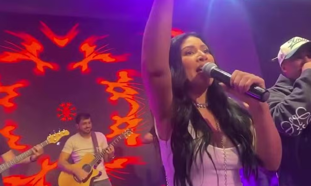 Em pausa na carreira, Simaria surpreende ao cantar em festa de aniversário de de influencer; veja vídeo