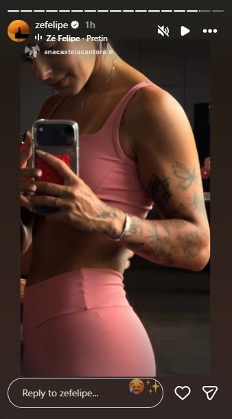 Foto de Ana Castela no stories de Zé Felipe – Foto: Reprodução / Instagram