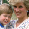 Princesa Diana achava que William não seria capaz de ser rei e preparou Harry para o posto